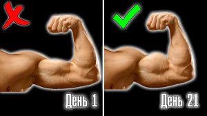 Как Накачать Бицепс Дома за 21 День | Домашние Тренировки |Простые Упражнения на бицепс