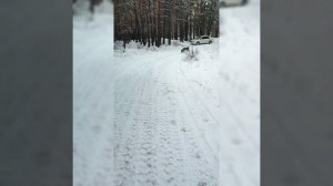 Походу это любовь?