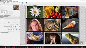 Как увеличить изображение без потери качества? Уроки Фотошопа
