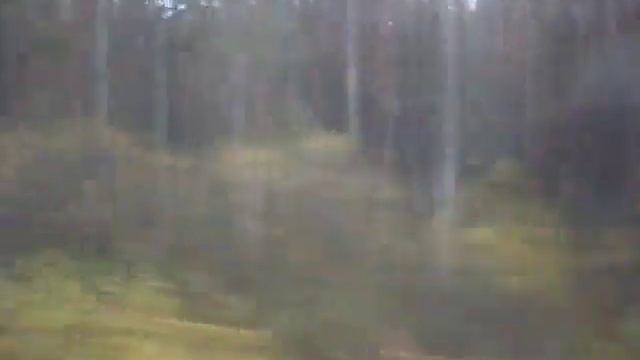 Осенний лес шумит листвой, вдаль провожает поезда смотреть онлайн