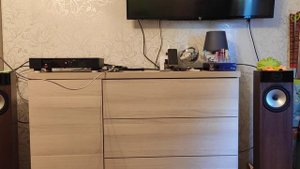 Fyne Audio F302 + REGA (2)