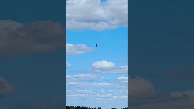 1000028107.mp4