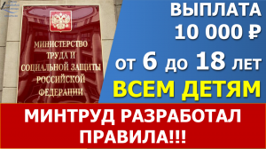 10 тысяч в июле - августе. Минтруд разработал порядок получения выплаты.