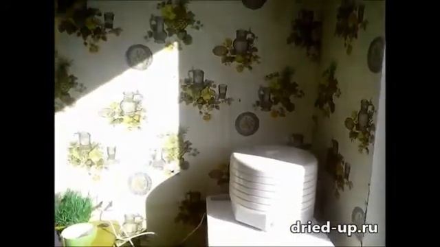 Рецепт. Готовим блины из фруктовой пастилы!!