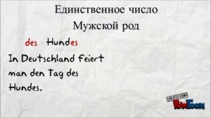 Deutsch A1: Артикль в немецком языке Часть1. Определенный артикль