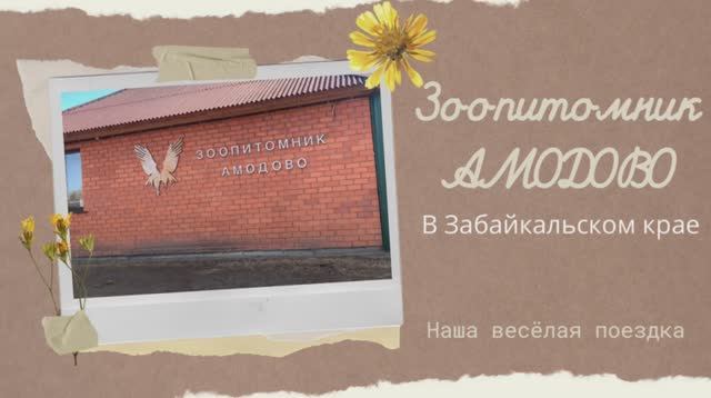 Зоопитомник АМОДОВО в Забайкальском крае. смотреть онлайн