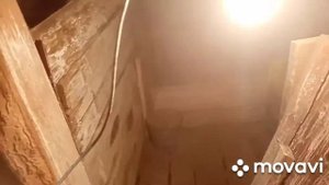 Капуста Анкома в разрезе//моё подполье//хранение капусты и моркови//тыква