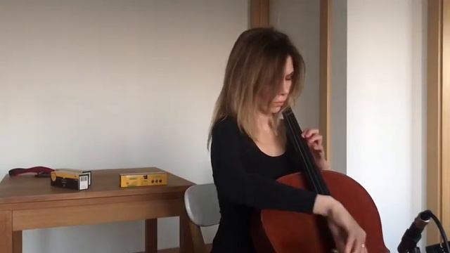 T. Albinoni Adagio g-moll смотреть онлайн