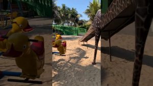 Гоа. Индия. Юг Гоа. Отель Majestic beach comfort