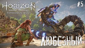 Horizon Forbidden West | Мир робозверей и жестоких людей | #5