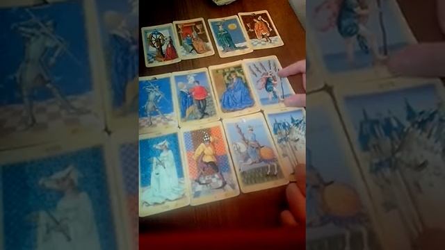 Мы идем в Новый Мир. Начнем ли мы там понимать язык животных, растений, стихий? смотреть онлайн