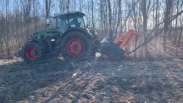 Мощный мульчер TMC Cancela модель TFR-225 на тракторе Fendt 936 расчистка территории от деревьев