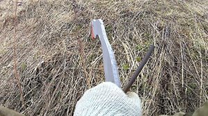 весенняя охота на гуся