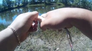 РЫБАЛКА НА ДОНКУ И ПОПЛАВОЧНУЮ УДОЧКУ