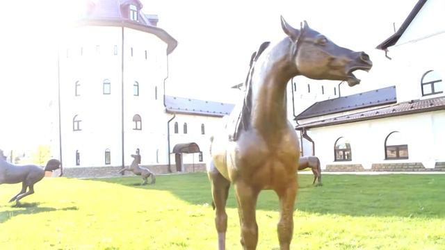 АРАБСКИЙ ЖЕРЕБЕЦ /ARAB STALLION - 360°