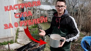 ДАЧА КОРМИТ - КАК ПЕРЕЖИТЬ ПРОДОВОЛЬСТВЕННЫЙ КРИЗИС 2022 - 2023 \ ДИКИЕ ПРОДУКТЫ С ОГОРОДА