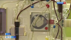 Мышиная лихорадка: какие меры стоит соблюдать, чтобы не заразиться