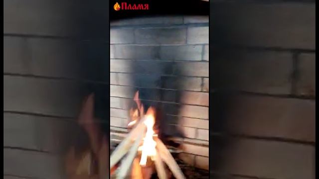 Барбекю с двойным зубом