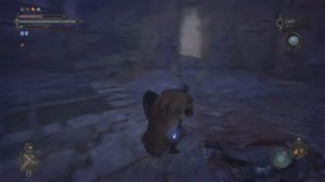 Lords of the Fallen - 32. - Путь Преданности, Путь к Особняку Святых Братьев (PS5)