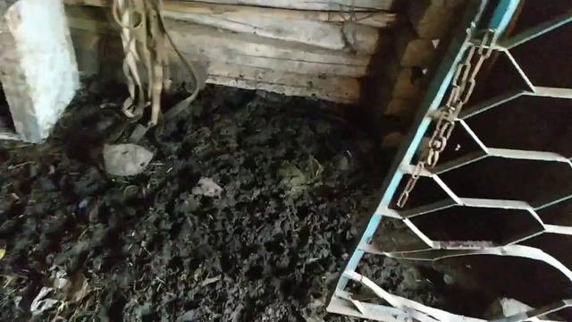 ночь ужасных кошмаров! Ожог на пол ноги - напилася кофА... ? смотреть онлайн