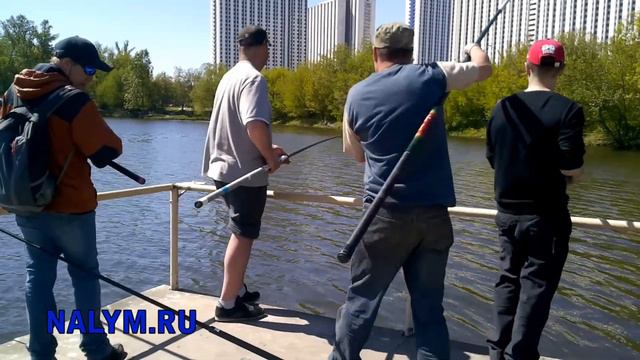 Летняя мормышка 2018 (Москва, Измайлово 12.05.18) смотреть онлайн