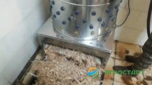Перосъемная машина NT-600A. Ощип кур. Отзыв покупателя. Агростарт