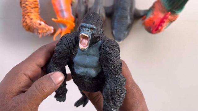 Dinosaurus, Trex, King Kong, Indoraptor, Ankylosaurus, Spinosaurus, Velociraptor, Megalodon, Ankylo