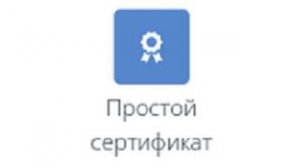 Инструкция по работе с элементом "Простой сертификат" в СЭО 3KL