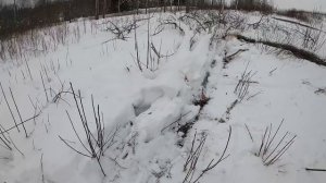 Т 16, поездка за дровами.