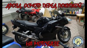 Осмотр перед покупкой  Honda CBR1100XX Blackbird