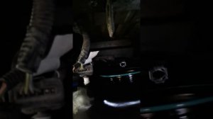 Ремонт Ситроен Берлинго