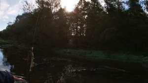 Кренки на голавля | Ловля на Спиннинг