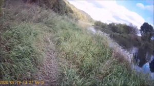 Ловля плотвы и окуня  на реке Зуша. Осень .