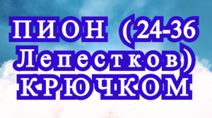 Пион крючком с 24-36 лепестками - Схема по рядам