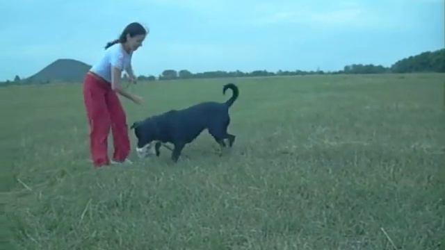 Imperiya Top Black смотреть онлайн