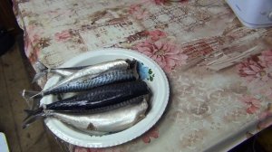Скумбрия холодного копчения своими руками