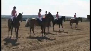 Конный спорт