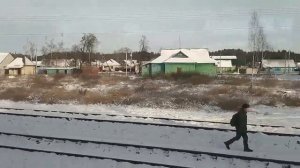 Ржаница зимой