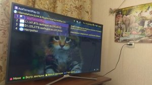 Forkplayer соединить телевизор и компьютер, смарт ТВ Самсунг