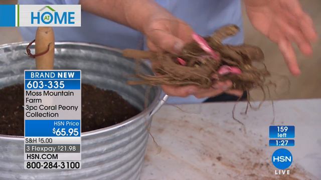 Moss Mountain Farm 3piece Coral Peony Collection смотреть онлайн