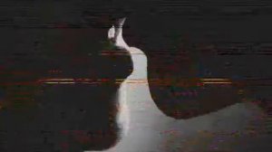 Я как прежде твой пленник  Ю шатунов видеомонтаж от Виктории