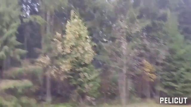 Псков- Печоры- Пушкинские горы. Осень 2023 г. смотреть онлайн