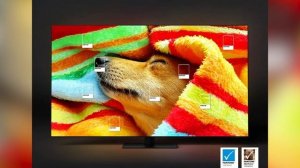 Телевизор Samsung QE85QN900C (QE85QN900CUXRU)
