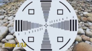 Nikon AF-S 70-300mm G ED VR lens review with samples