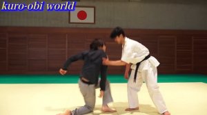 【30minutes】FIGHT WITH HEIAN KATA , PERFECT VERSION (Tatsuya Naka）