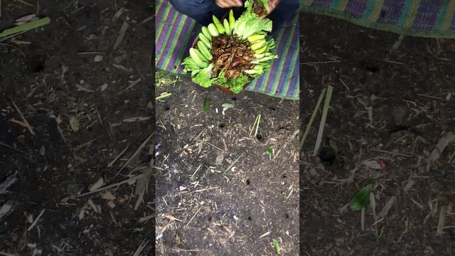 wow fry chickens feed stew is very delicious #fishingvideo #fishing #ricefield #cooking #fish смотреть онлайн