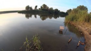 Рыбалка с ночевкой в  Августе. Сазан, сом. Астраханская область с. Каралат