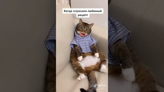 Кот Ральф и новогодние рецепты