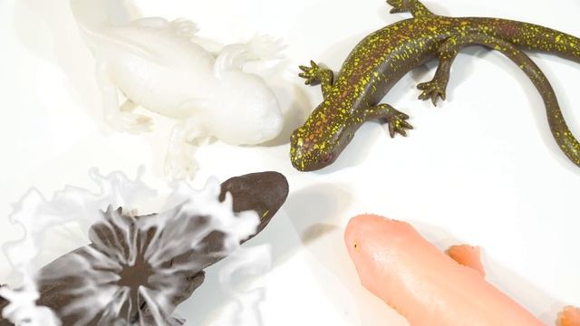 БИТВА САЛАМАНДРЫ и ТРИТОНЫ сбабам новинка 2019 смотреть онлайн