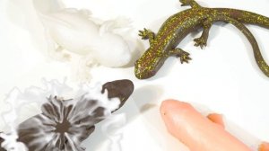 БИТВА САЛАМАНДРЫ и ТРИТОНЫ сбабам новинка 2019